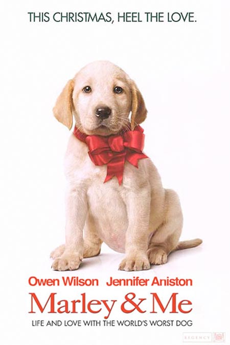 marley and me the dog. this story just remind me of