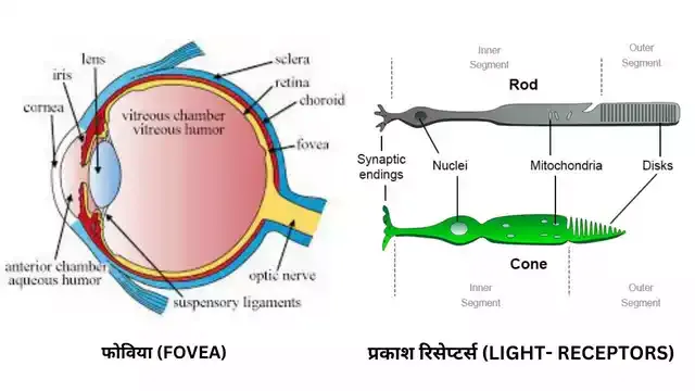 Jinn (Jinnat) Dikhai Kyun Nahi Dete? electromagnatic waves