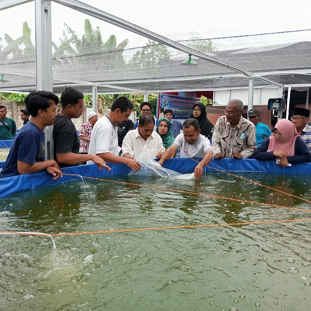 Sumut Miliki 201.373 Hektare Potensi Lahan Perikanan Budidaya, Baru 13,88% yang Dimanfaatkan 