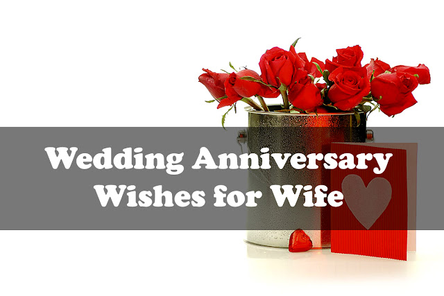  Wedding  Anniversary  Wishes Messages and Quotes