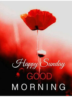 Sunday Good Morning  Images In Hindi