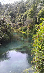 Waihou Walkway
