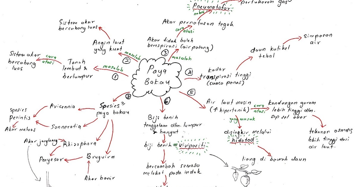 Contoh Soalan Biologi Tingkatan 4 - Lamaran O