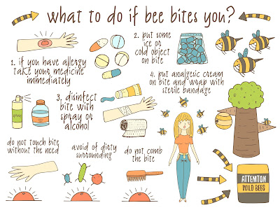 infographic what to do if a bee bites?