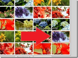 seleção de imagens - montagem de fotografias