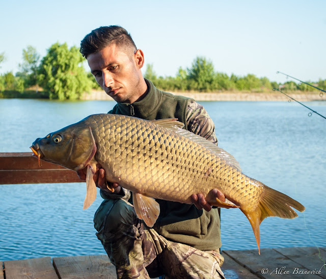 Pescuit Teslui 2015 / CPK Carp