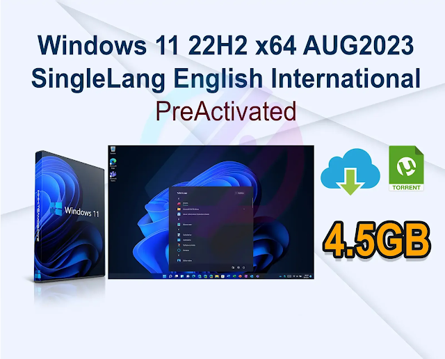 Windows 11 22H2 x64 AUG2023 SingleLang English International