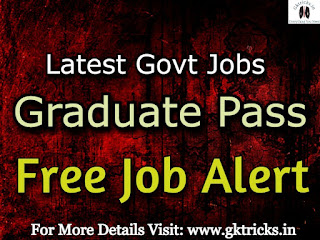 graduate level jobs