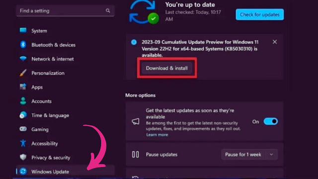 How To Download And Install Windows 11 2023 Update from Windows Insider Program?