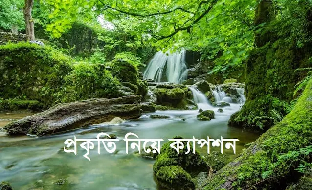 প্রকৃতি নিয়ে ক্যাপশন