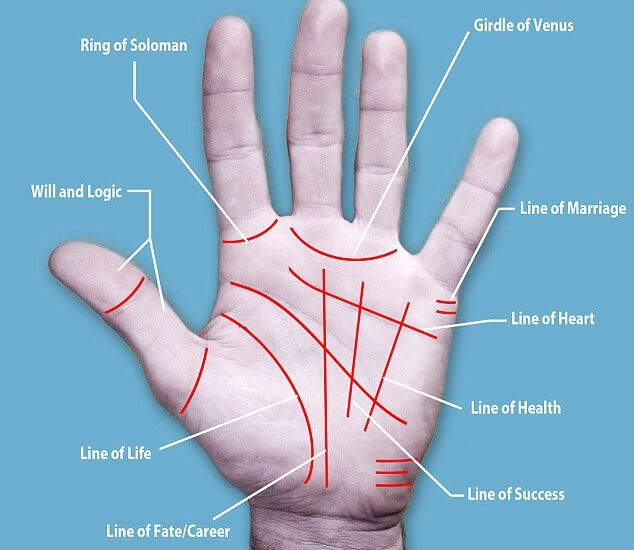 Significance of moles in palm and their impact in human life