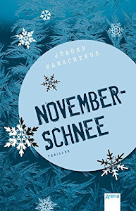 Novemberschnee (Arena Taschenbücher)