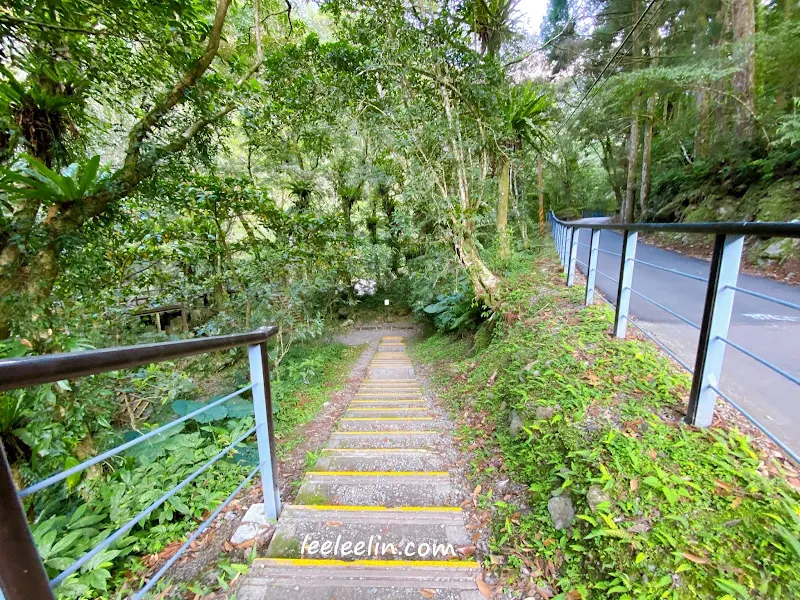 滿月圓國家森林遊樂區｜三峽森林芬多精景點~再訪發現園區變得煥然一新