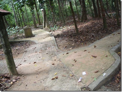 three roads diverged in the wood