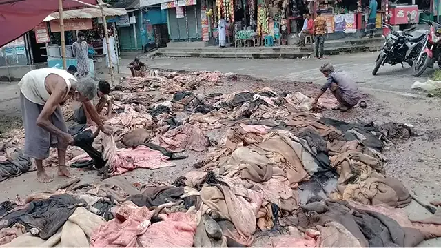উল্লাপাড়ায় ১০ মণ ওজনের গরুর চামড়ার মূল্য ১শ’ টাকা