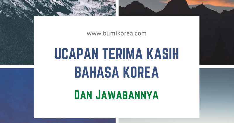 Ucapan terima kasih dalam bahasa Korea dan jawabannya | BumiKorea ㅣBelajar Bahasa Korea untuk Pemula