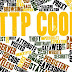 HTTP cookie