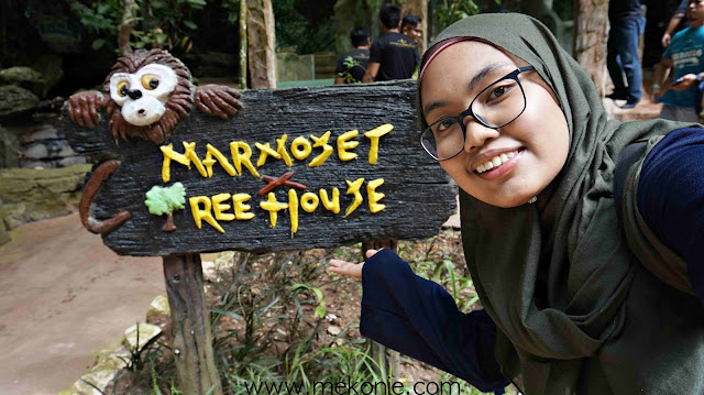 GLAMPING ATAS AIR DAN TARIKAN BARU DI LOST WORLD OF TAMBUN 