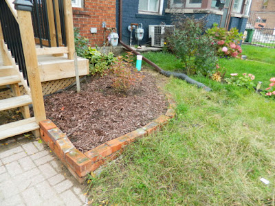 East York Toronto Front Garden Fall Cleanup After by Paul Jung Gardening Services--a Toronto Organic Gardening Company