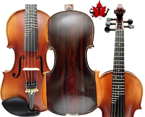 SONG Advanced 5 strings Violin with frets 4/4,Rosewood Violin,Good sound #15378