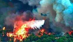 Τους λόγους για τους οποίους πλέον ξεσπούν τόσες πολλές φωτιές, όχι μόνο στην Ελλάδα, αλλά σε ολόκληρο τον κόσμο, εξηγεί μέσω ανάρτησής του ...