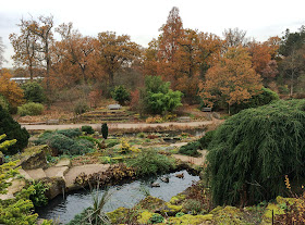 Pond and trees.  Wisley Gardens, 3 December 2013.