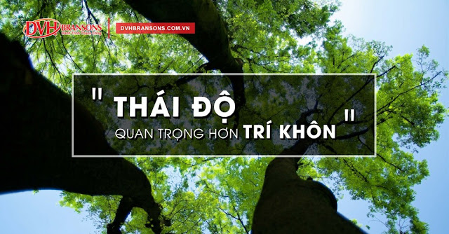 Thái Độ