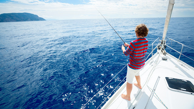 puerto vallarta fishing