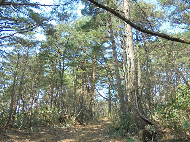 丸山ふれあいの森キャンプ場に行く道