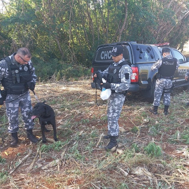 UBIRATÃ: População se reunirá para varredura em busca do jovem Luiz que está desaparecido