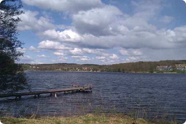 IMAG0502