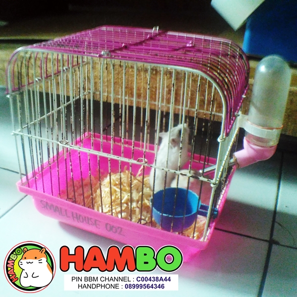 Small House 002 Penitipan Hamster Di Bogor