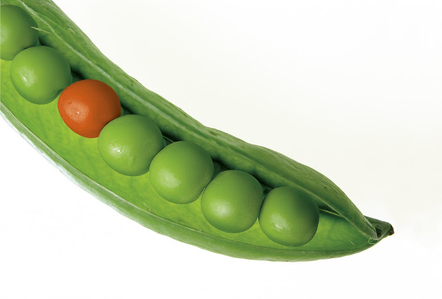 Closeup of green pea pod photo by Pixabay