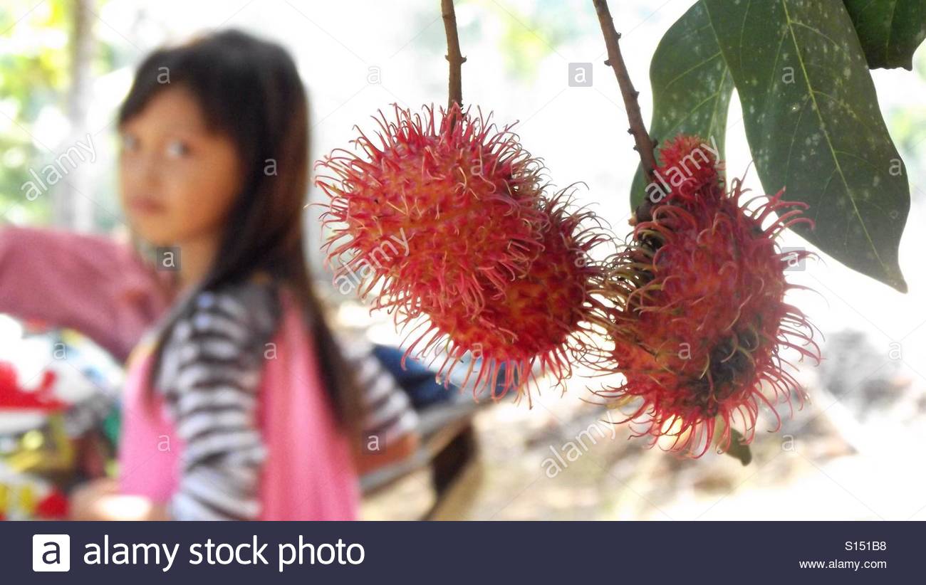 close up of rambutan fruit with a young girl in background 