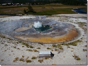 110827 NP Yellowstone (10)