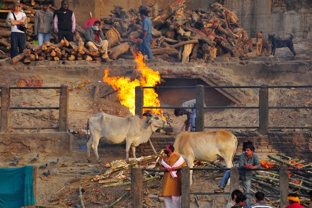 Tradisi Unik Bakar  Mayat  Orang Meninggal Di Varanasi India 