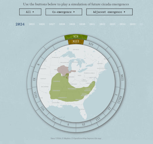 a cicada brood map showing in which year cicada broods will emerge in the USA