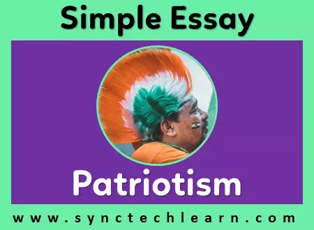essay on patriotism in english