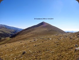DSC02786