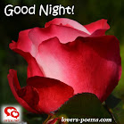 good-night-oriza-net-009.jpg