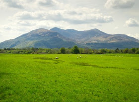 Ireland, empty