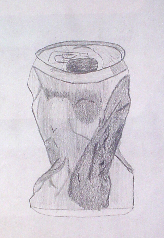 Lessons From The K 12 Art Room Drawing From Observation