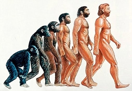 evolucion del hombre. evolucion del hombre. que el