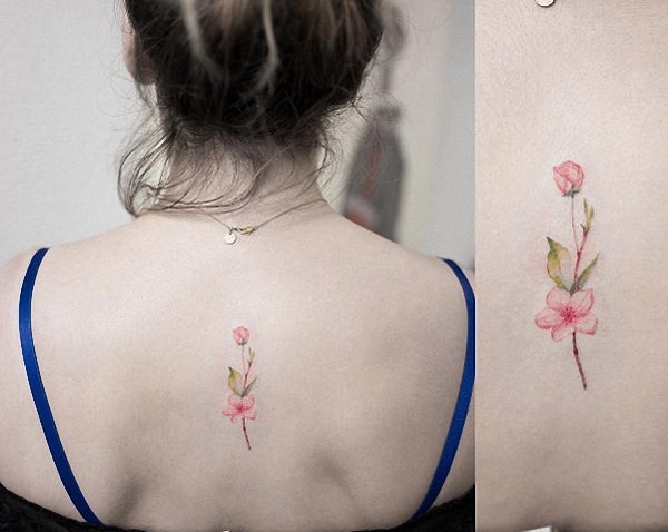 esta_flor_de_cerejeira