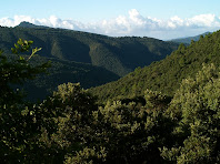 La Vall i la Serra de Picamena amb el Tagamanent a l'esquerra des del Coll de Can Rovira