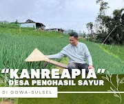 Kanreapia Desa Penghasil Sayur Terbesar di Gowa Sulsel