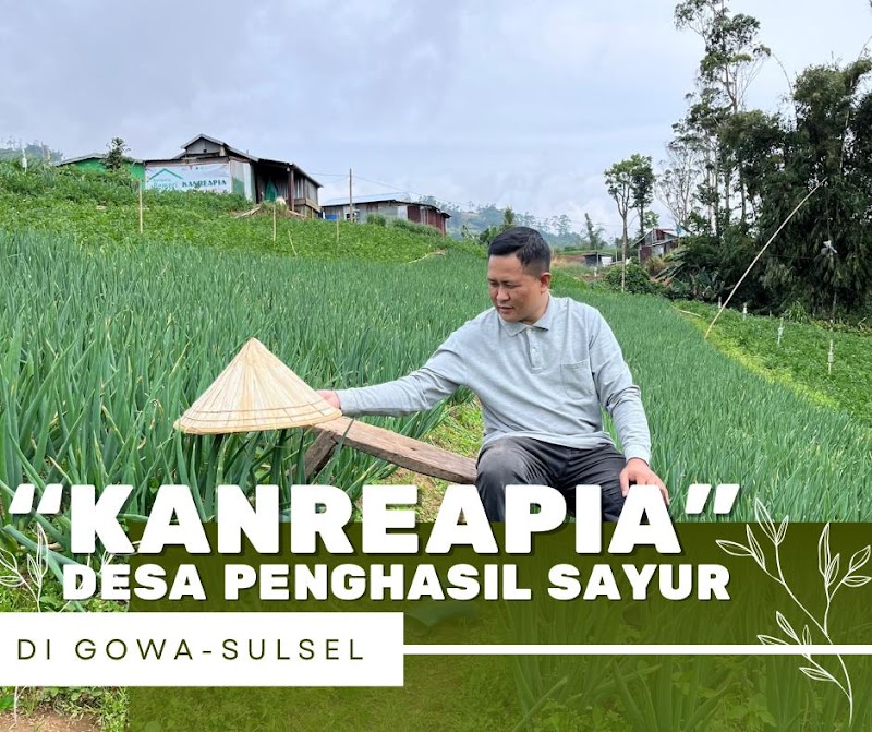 Kanreapia Desa Penghasil Sayur Terbesar di Gowa Sulsel