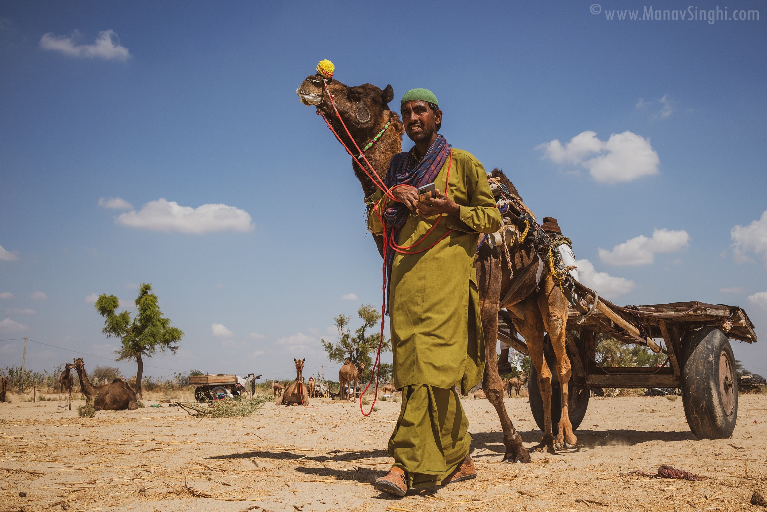 The Mallinath Cattle Fair, Tilwara 2023 - Biggest Cattle Fair in Rajasthan.