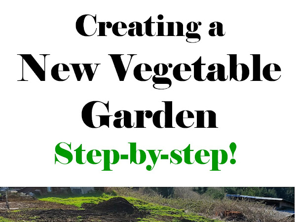 Creating a New Vegetable Garden - Step by Step!