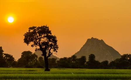 দলমা পাহাড়ের দৃষ্টিনন্দন রূপ